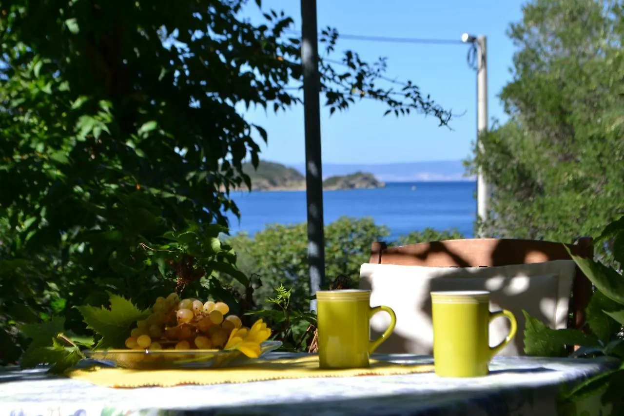 House Niva Apartment Supetarska Draga