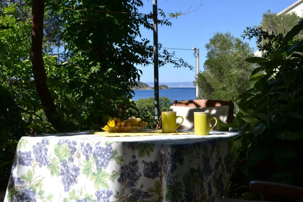House Niva Apartment Supetarska Draga